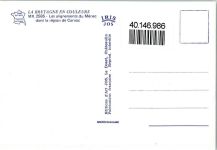 56340 Carnac - Runensteine
