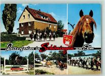 38364 W3338 Schöningen - Jugendherberge mit Reitschule Pferde