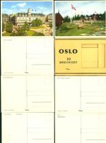 Oslo Kristiania Kleinposten bis 20 Lot mit 10 AK in Original Mappe; gute Erhaltung