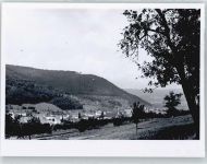 77960 W7633 Seelbach , Schutter - Foto