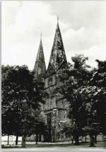 27333 W2811 Bücken b Hoya, Weser - Dom Baum