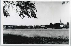54516 W5560 Wittlich - Foto
