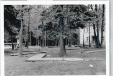 35099 W3559 Industriehof b Frankenberg, Eder - Foto Minigolf Baum