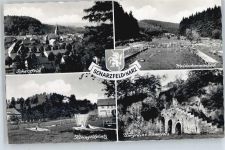 37412 W3429 Scharzfeld - Minigolf , Waldschwimmbad