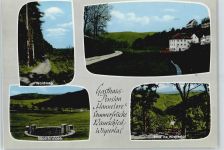 65307 W6208 Ramschied - Gasthaus Pension Hannelore Sommerfrische