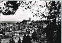 35066 W3558 Frankenberg (Eder) - Baum Kirche Haus