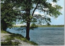 29490 W3139 Glienitz - Pension am Wacholder Fluss Baum Feld