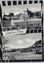 24963 W2399 Tarp - Springbrunnen Wiese Haus Baum