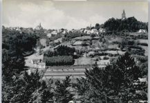 34431 W3538 Obermarsberg - Baum Haus Feld
