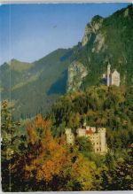 87645 W8959 Neuschwanstein