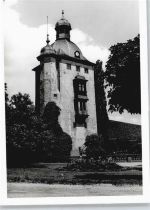 54558 W5569 Winkel (Eifel) - Foto Haus Baum Wiese Zaun