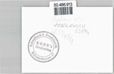 53894 W5353 Mechernich - Foto-Karte