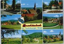 49545 W4542 Tecklenburg - Kirche Wiese Blumen Feld Berg Haus Baum