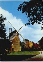 48455 W4444 Gildehaus - Mühle Wiese Fußgänger Baum
