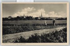 97511 W8722 Lülsfeld - Erntearbeiten