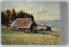W.Hasemann , Triberg Bauernhaus Schwarzwald Maler