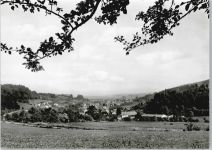 37586 W3354 Lauenberg - Gasthaus zum Sollinger Wald Feld Baum Gesamtansicht