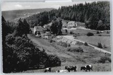 75399 W7267 Kapfenhardt