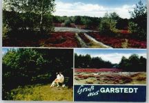 21441 W2091 Garstedt , Winsener Geest - Heidelandschaft