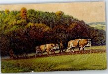 No.1122 , Weczerick, A. , Ochsenkarren , Ernte Wenau Künstlerkarte