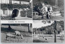 04680 O7241 Colditz - Torhaus, Triefsäckchen, Muffelwild, Waldbad