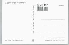 04680 O7241 Colditz - Torhaus, Triefsäckchen, Muffelwild, Waldbad