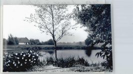 26689 W2913 Apen FOTO KEINE AK Foto mit Negativ