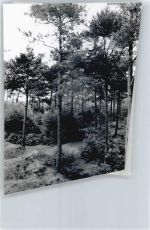 28790 W2822 Schwanewede FOTO KEINE AK Foto mit Negativ