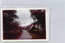 34431 W3538 Meerhof FOTO KEINE AK Foto mit Negativ