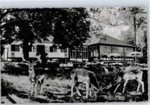 35619 W6333 Braunfels - Forsthaus im Tiergarten