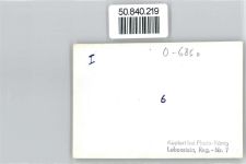 07356 O6850 Lobenstein , Thür - Foto