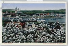 14542 O1512 Werder (Havel) - Baumblüte
