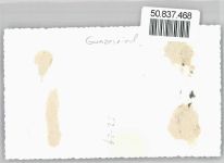 87544 W8976 Gunzesried - Foto