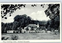 49186 W4505 Bad Iburg - Waldhotel Felsenkeller
