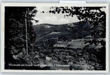 77887 W7595 Brandmatt - Hohritt
