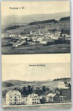 94078 W8393 Freyung , Niederbay - Schloß Wolfstein