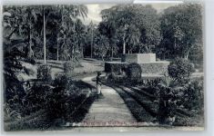 Peredeniya Garden Motiv Sri Lanka / Ceylon