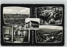 56290 W5449 Mörsdorf , Hunsrück - Gasthaus Wickert Flaumbachtal Wildgruppe