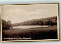 06493 O4301 Neudorf b Quedlinburg 1928 - Birnbaumteich