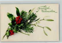 Nr. 813 Mistelzweig und Stechpalme - Farbenlichtdruck Rommel 1911