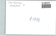 27472 W2190 Duhnen FOTO KEINE AK