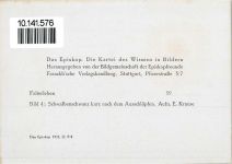 Schwalbenschwanz kurz nach dem Ausschlüpfen Foto E. Krause Das Episkop Schmetterling