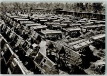 Sacharin 1928 FOTO KEINE AK Sibirien - Nerzfarm
