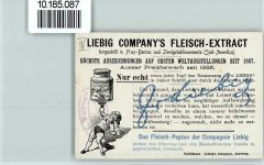 Edelweiß, Tracht aus Luzern, , WappenSammelbild Liebig Alpenflora