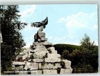 32756 W4930 Berlebeck - Adlerwarte Geierfelsen Gänsegeier Ajax vor dem Abflug