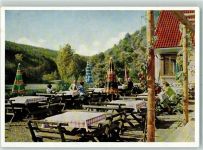 67305 W6719 Ramsen , Pfalz Foto AK Gasthaus Forelle Terrasse
