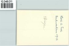 89584 W7930 Ehingen Donau 1942 Privatfoto KEINE AK Paar Heidi und Fred Ort handschriftlich