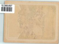 Zwetschgen Wasser Flaschenetikett Lithographie