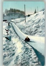 Bobsleigh Bahn Bob