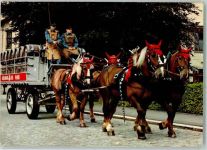 Zürich Vierergespann Bierwagen Brauerei Hürlimann AK Brauerei 1974